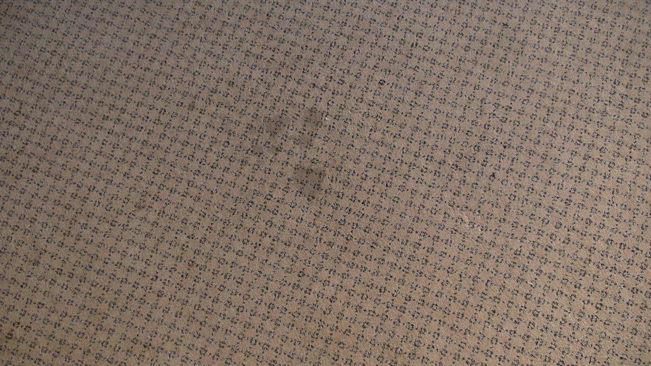 Flecken auf dem Teppichboden Hotel Arena