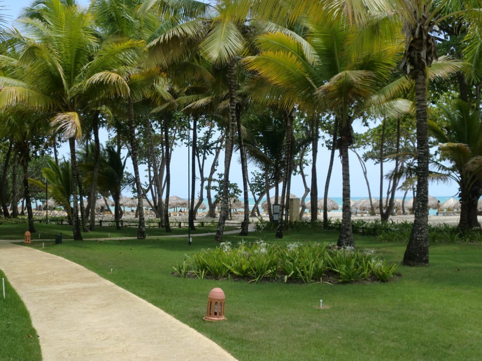 Garten Iberostar Waves Costa Dorada
