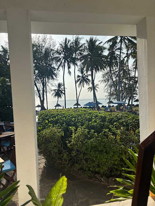Gartenanlage Hotel Diani Sea Lodge