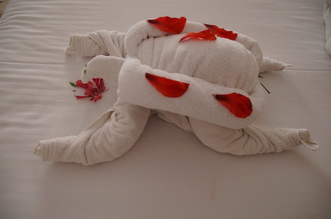 22 Beach Albatros Resort