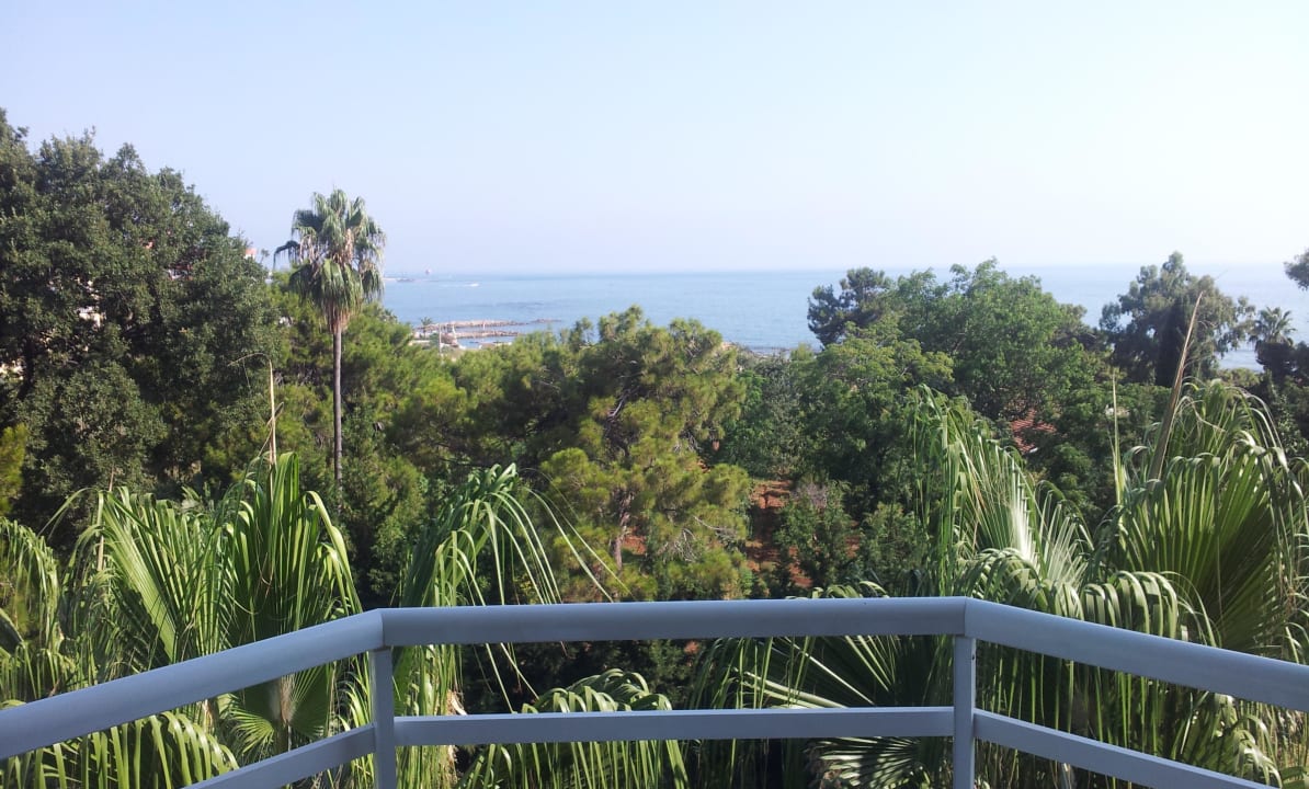 Morgens (Mittags, Abends) einfach das Beste  Incekum Su Hotel