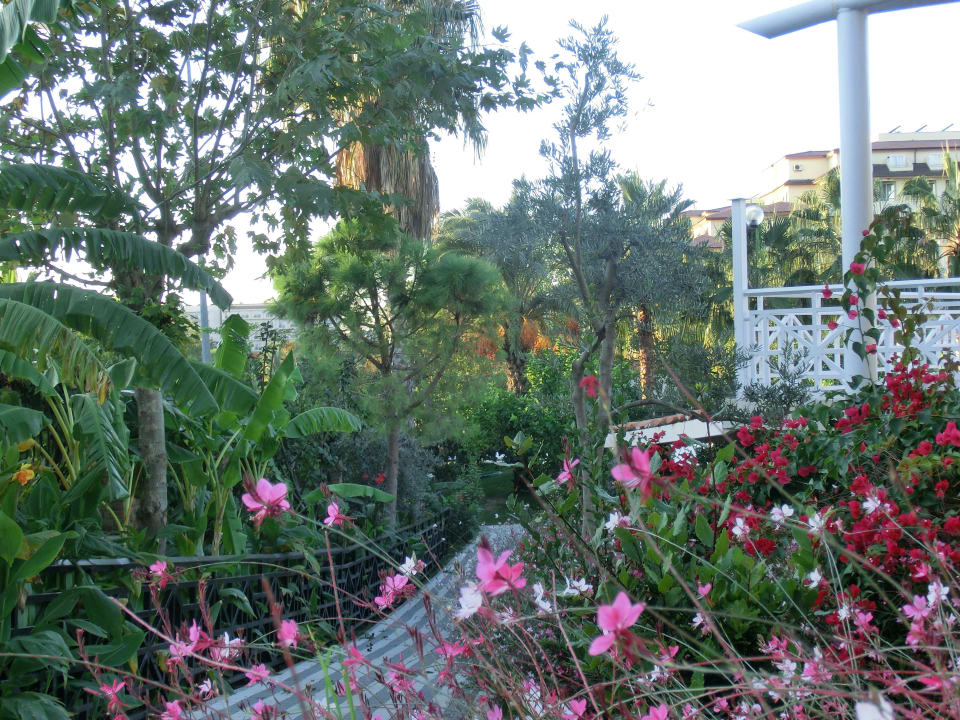 Garten Seaden Corolla Hotel