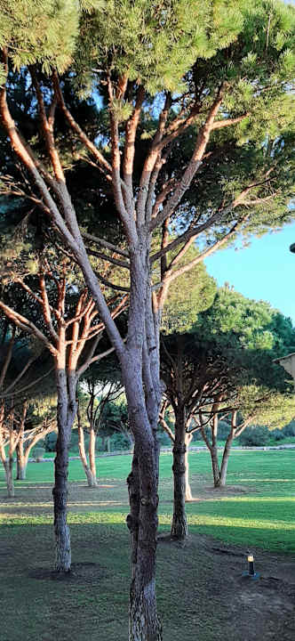 Ausblick AP Adriana Beach Resort