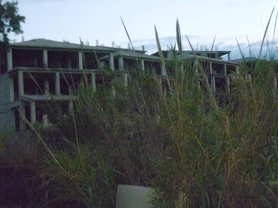 Umgebung The Bay Hotel & Suites