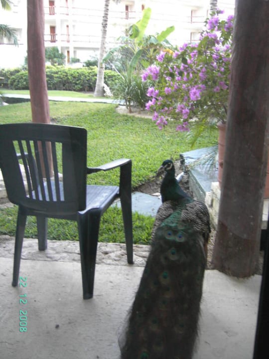 Room 2127 Grand Oasis Tulum Riviera - All Inclusive