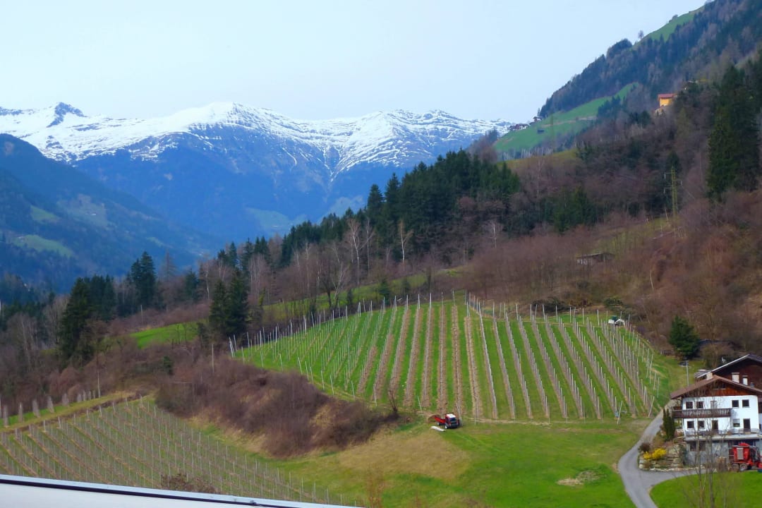 Aus dem Zimmer - Passeiertal Alpenhof Lodge Passeiertal