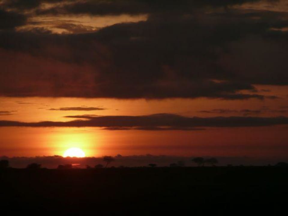 Sonnenaufgang - vom Zelt aus genießen Ashnil Aruba Lodge