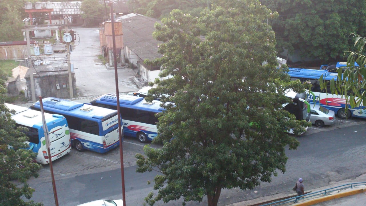 Geparkte Busse von mehreren Reiseunternehmen Hotel Tulipan