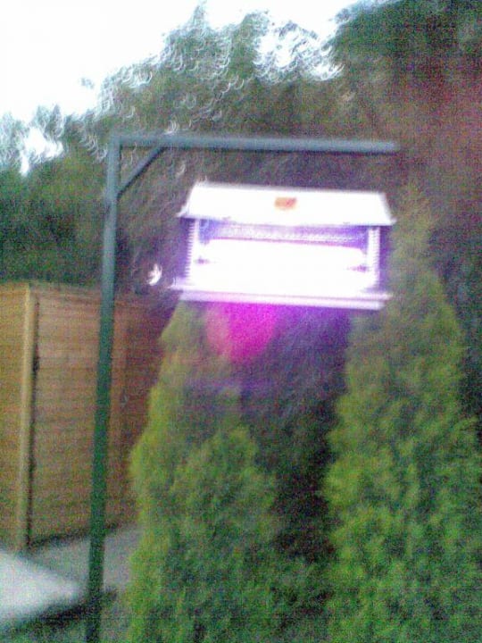 Mückenfalle Überall in der Anlage Voyage Belek Golf & Spa