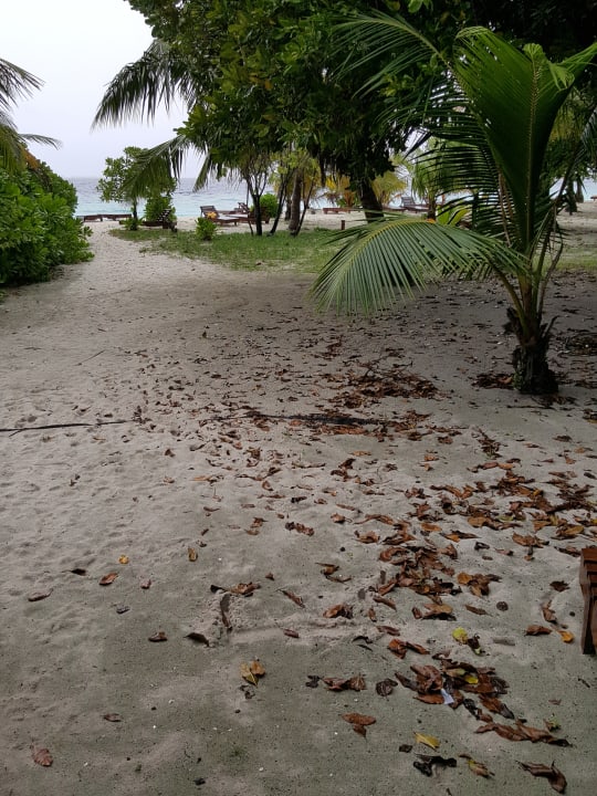 Gartenanlage Adaaran Select Meedhupparu Island Resort - Premium All Inclusive