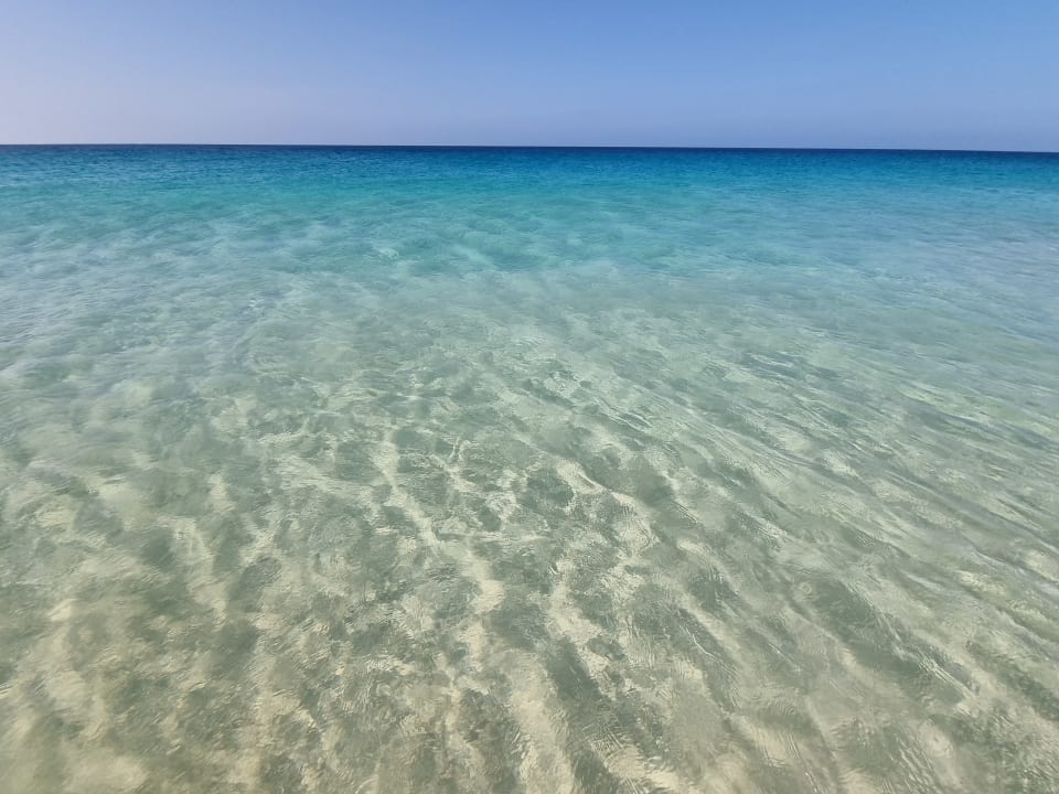 Ausblick Hotel Riu Palace Santa Maria