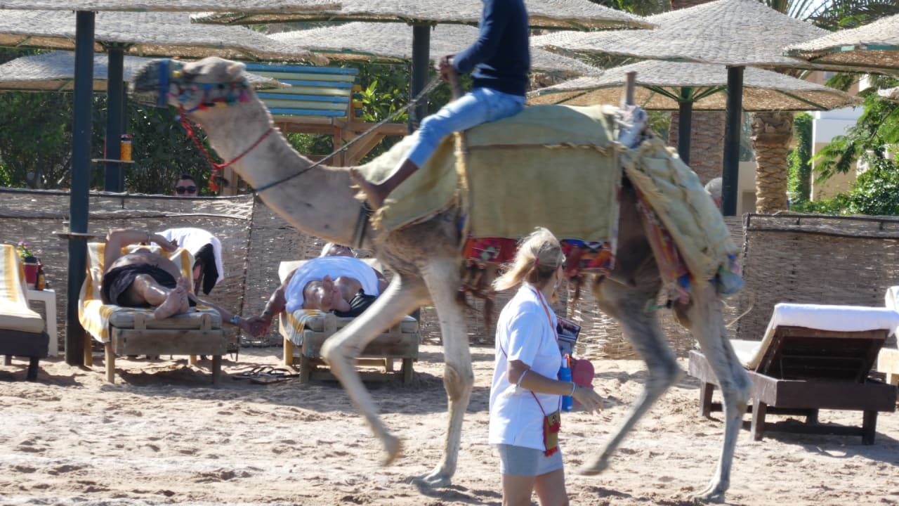 Strand Golden Beach Resort