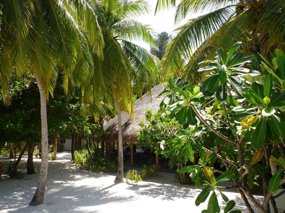 Aussen LUX South Ari Atoll