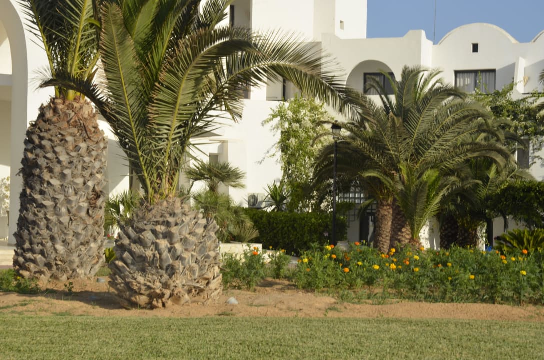 Hotel Club Palm Azur