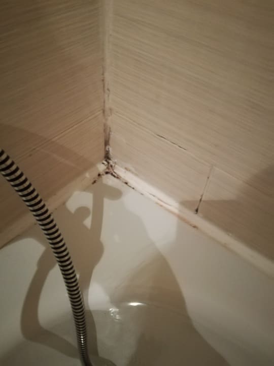 Zimmer Imperial Palace Hotel