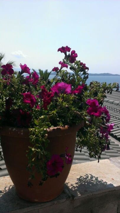 Schön  Akrathos Beach Hotel