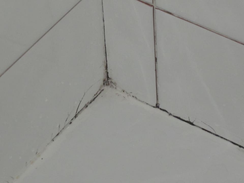 Fliesen im Bad Quality Hotel Nova Domus