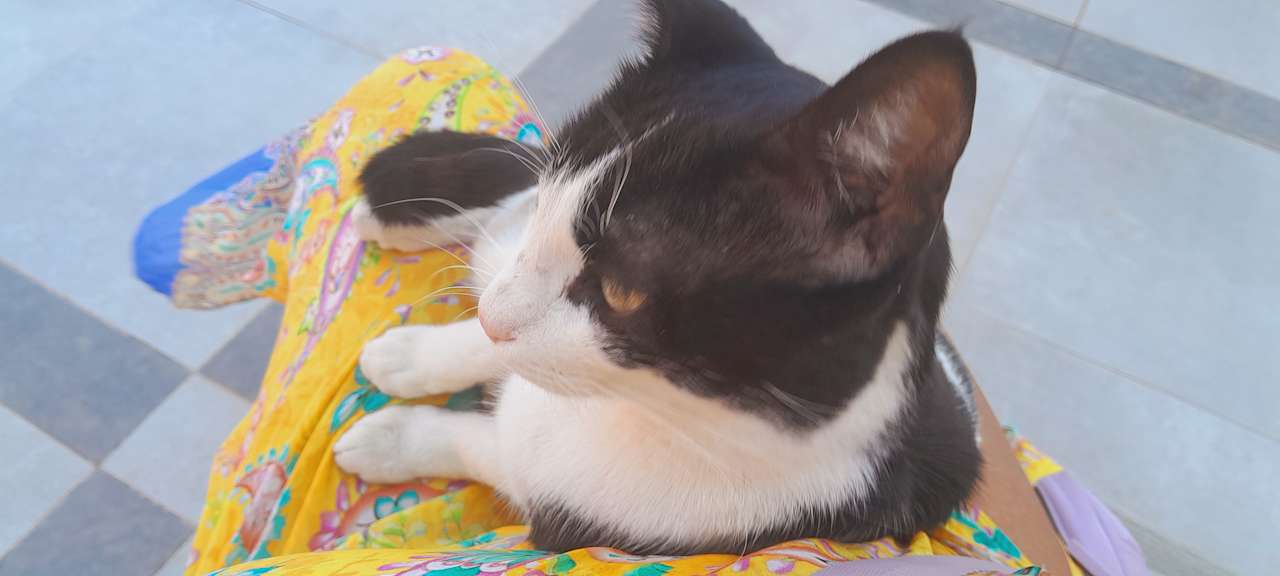 Sonstiges Hotel Sun & Sea