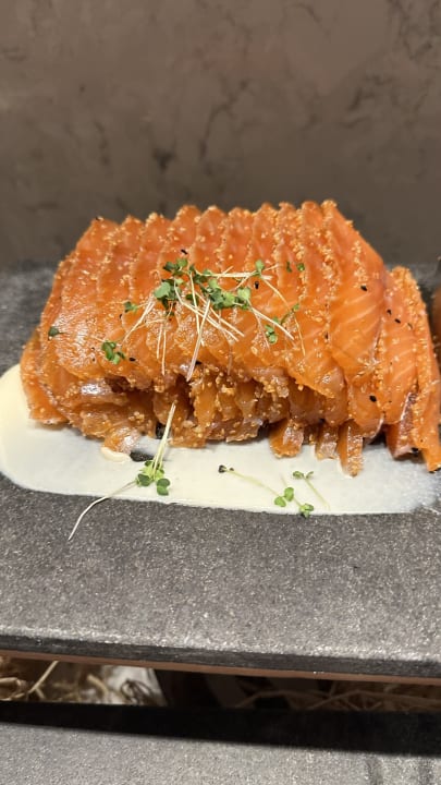 Gastro Acanthus Cennet Barut Collection