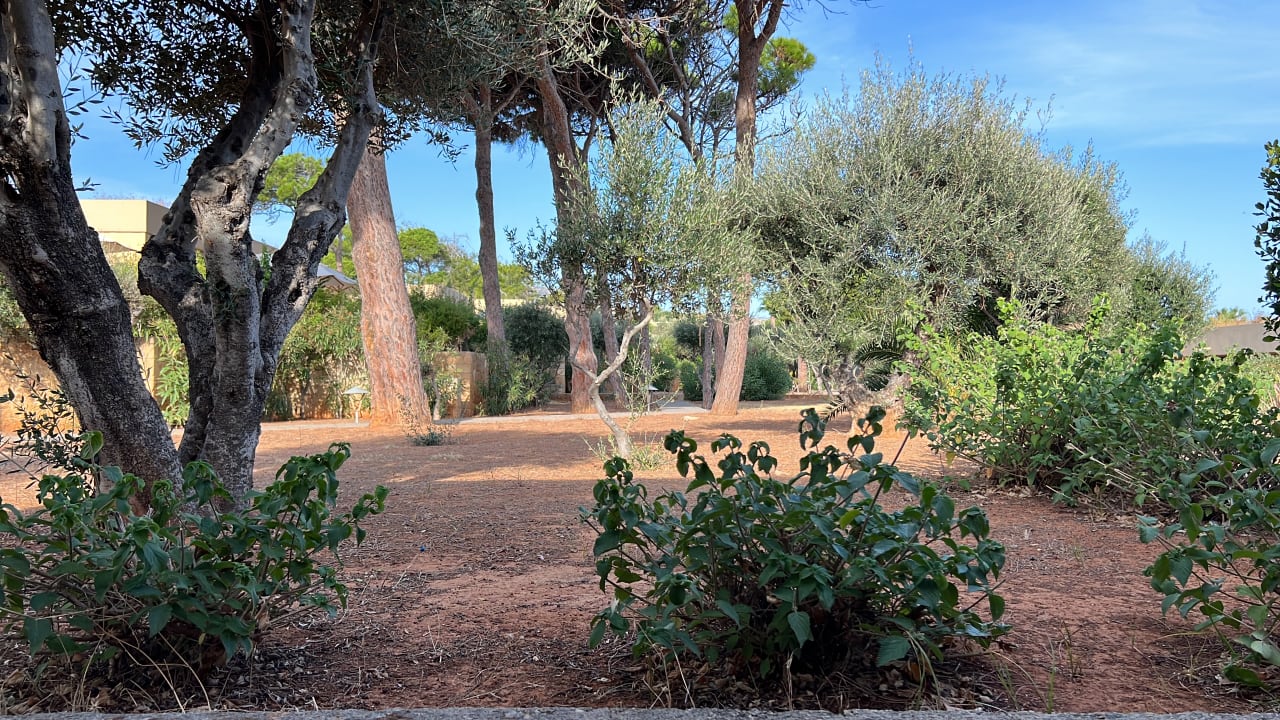 Gartenanlage Kernos Beach Hotel & Bungalows