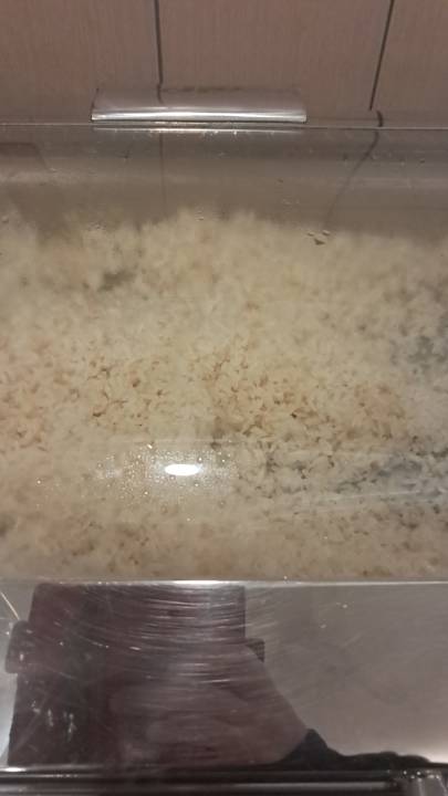 Zimmer Dream World Resort & Spa