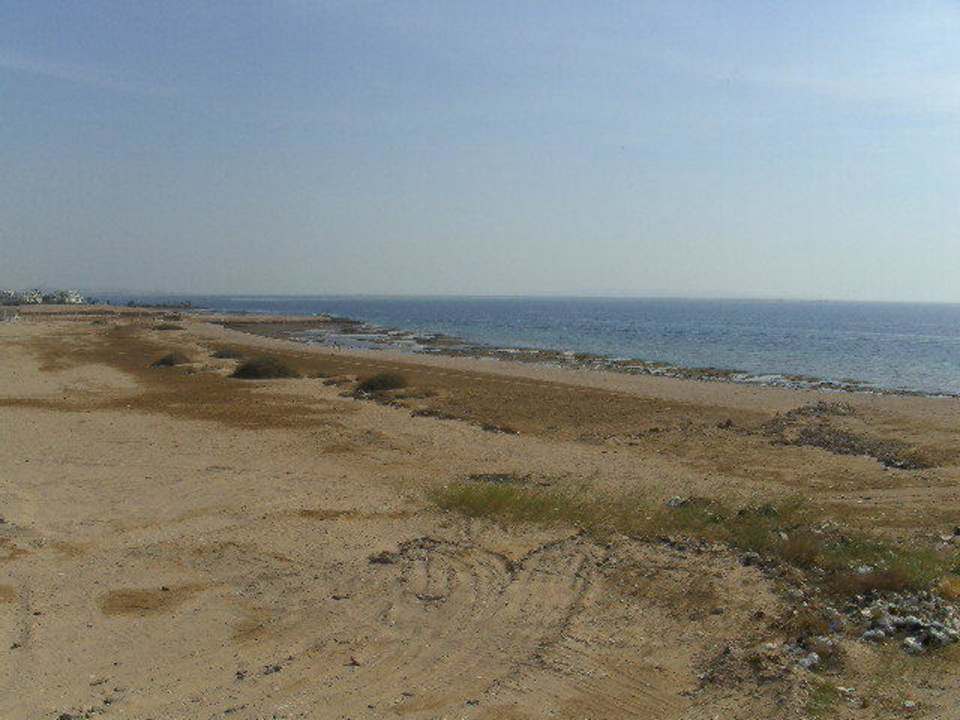 Zimmeraussicht Beach Albatros Resort