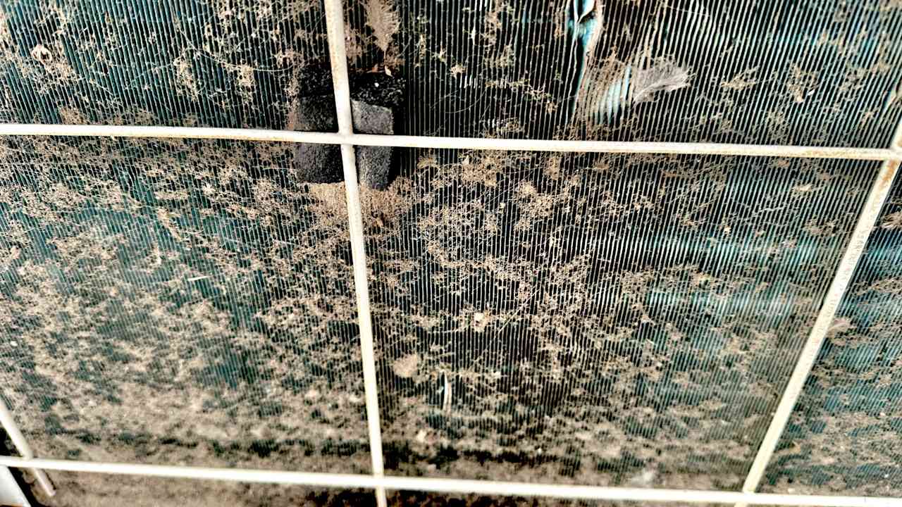 Sonstiges Hotel Geranion Village