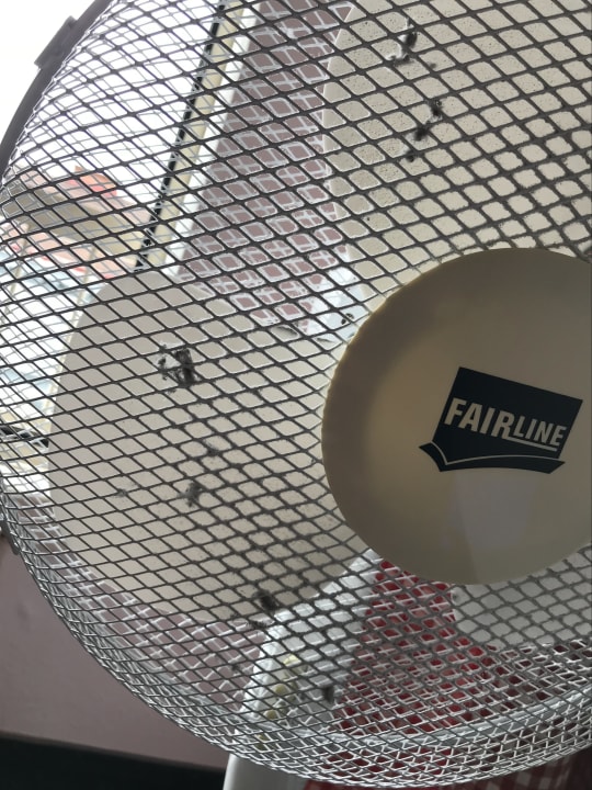 Zimmer Hotel Enziana Wien