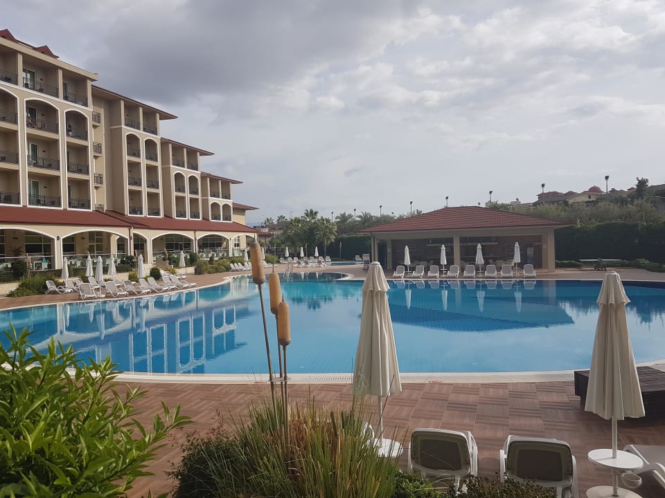 Pool Paloma Oceana