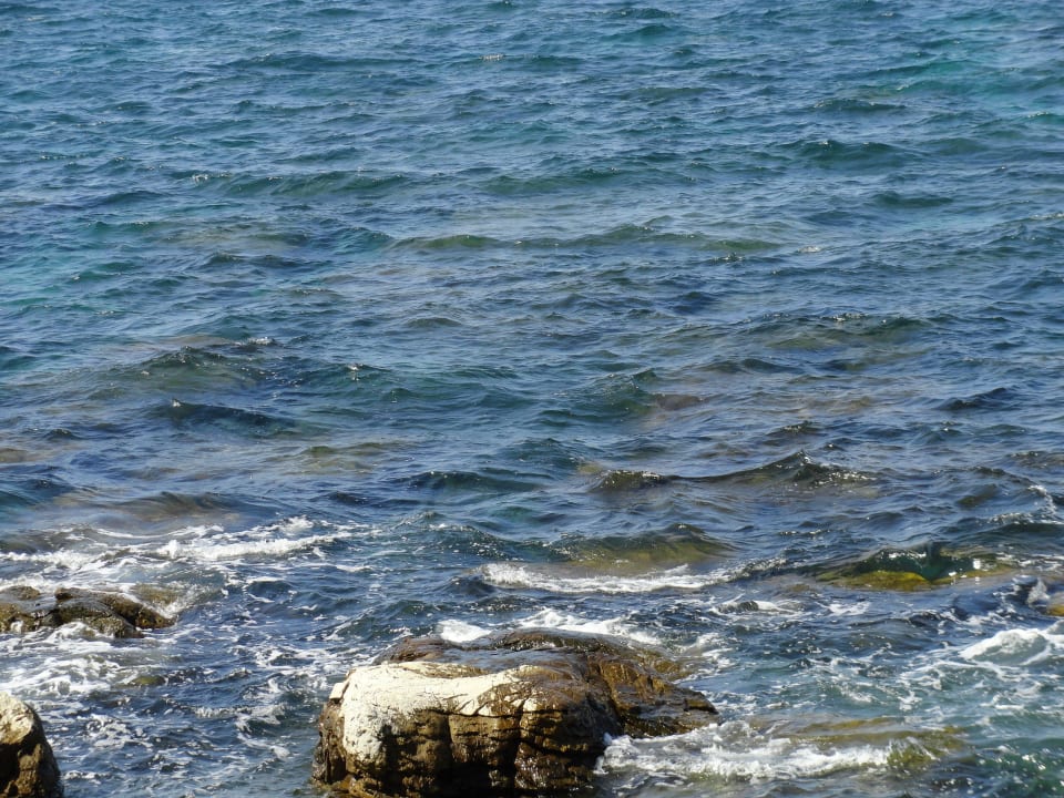 Felsen und Steine im Meer Valamar Parentino Hotel