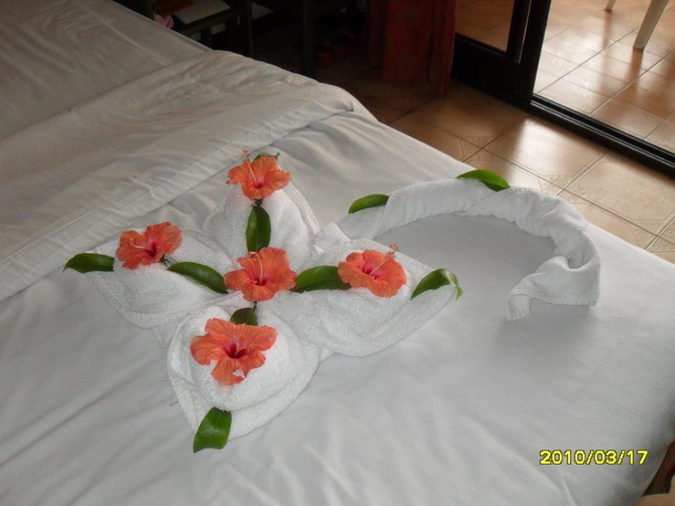 Handtuchtechnik Ghazala Beach