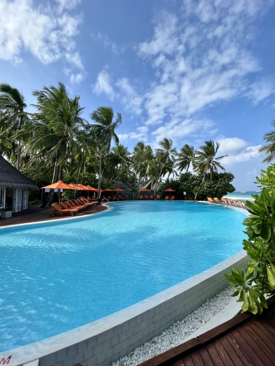 Pool Sun Siyam Vilu Reef