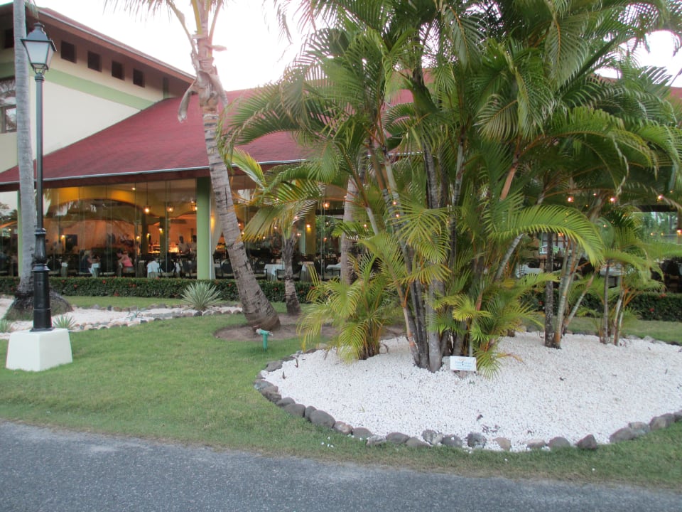 Gegenüber von der Palace Lobby TRS Turquesa Hotel - Adults only