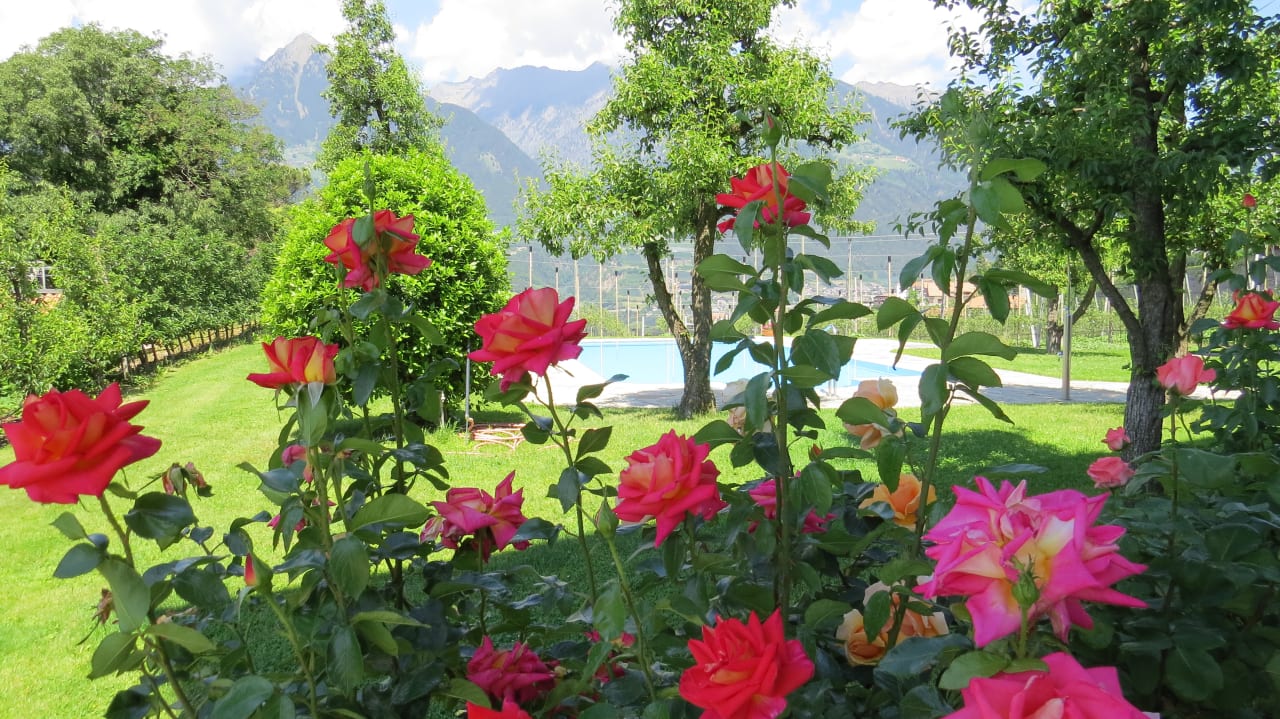 Gartenanlage Garni Pluner