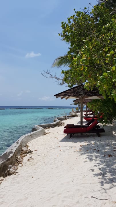 Strand Ellaidhoo Maldives by Cinnamon