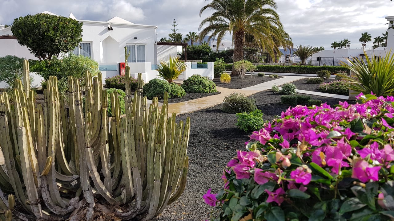 Gartenanlage Labranda Alyssa Suite Hotel