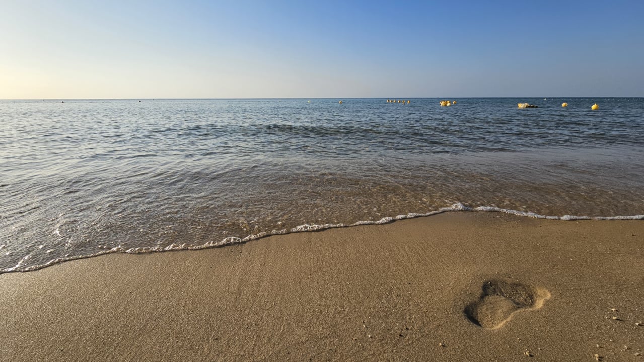 Strand Hotel Royal Nozha