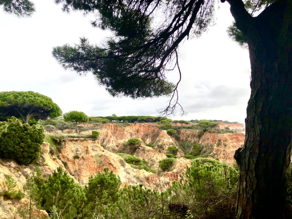 Ausblick PortoBay Falésia