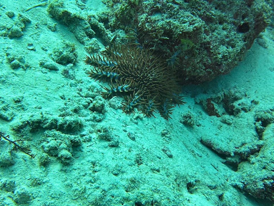 Sport & Freizeit Ocean Paradise Resort & Spa