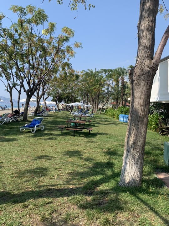 Gartenanlage Labranda Alantur Resort