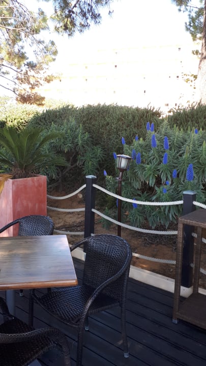 Gartenanlage PortoBay Falésia