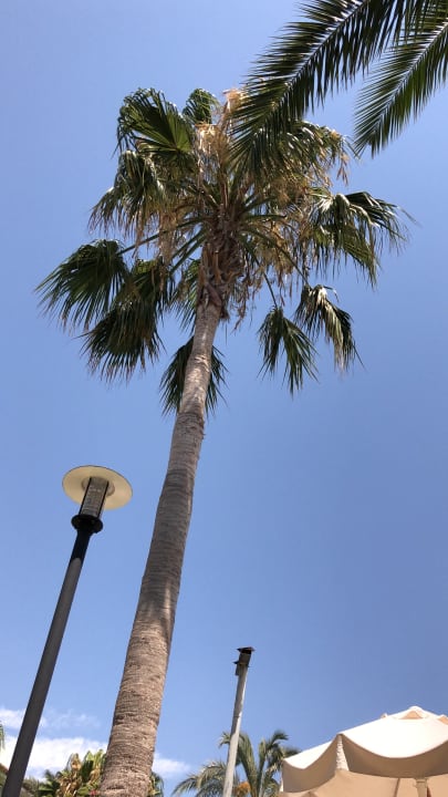 Strand Belek Beach Resort Hotel