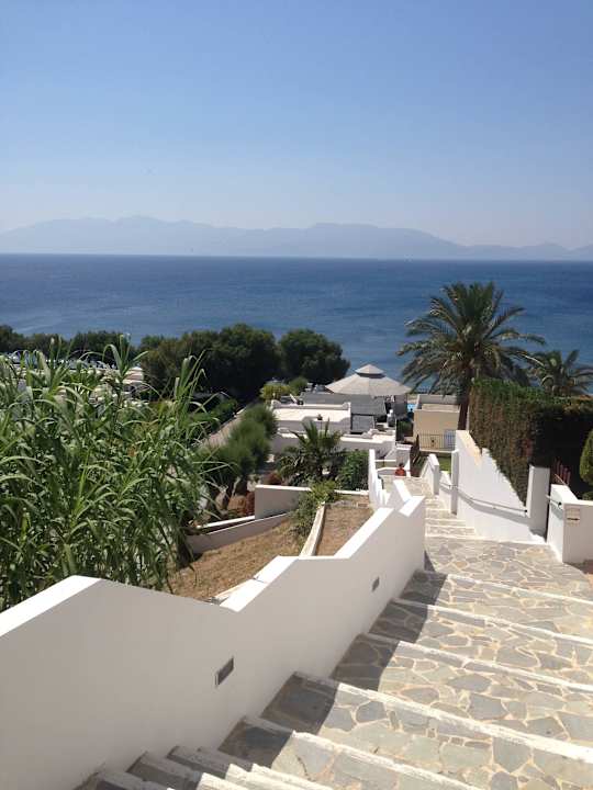 Blick aufs Meer Dimitra Beach Hotel & Suites