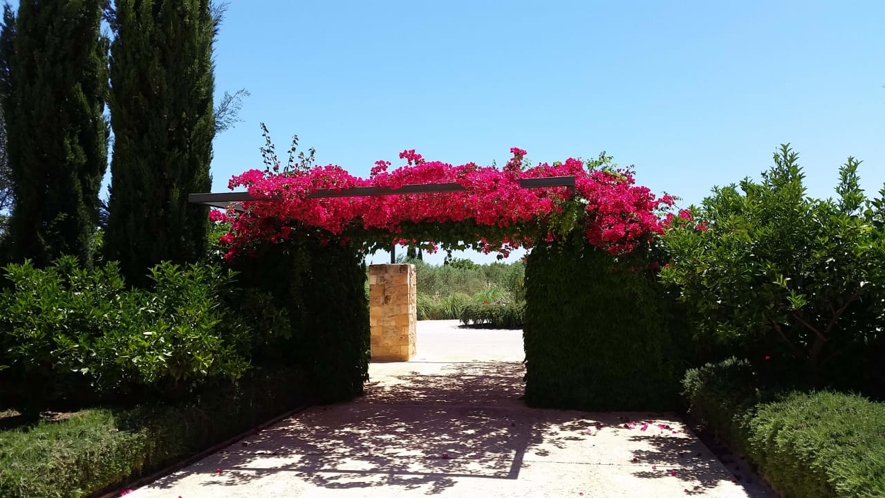 Eingang Finca Sa Franquesa Nova