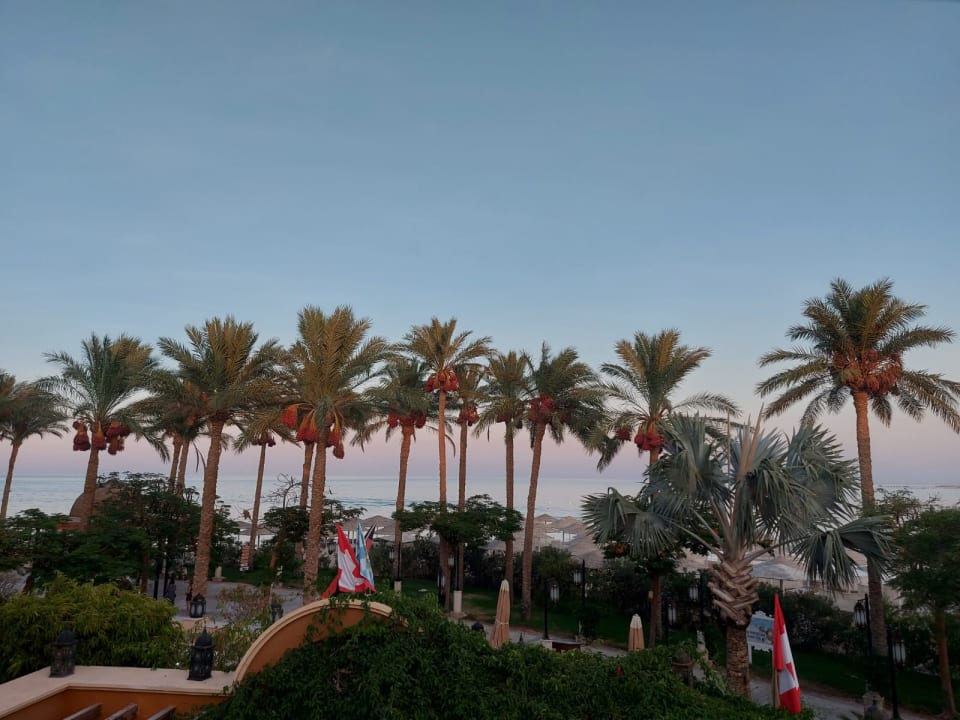 Ausblick Grand Waterworld Makadi & Family Star Makadi