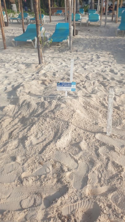 Strand Akumal Bay Beach & Wellness Resort