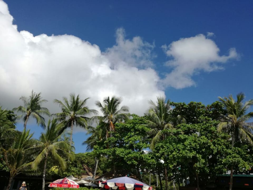 Ausblick The Fair House Beach Resort