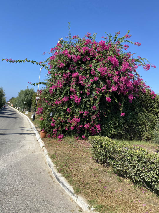 Gartenanlage Smy Kos Beach & Splash