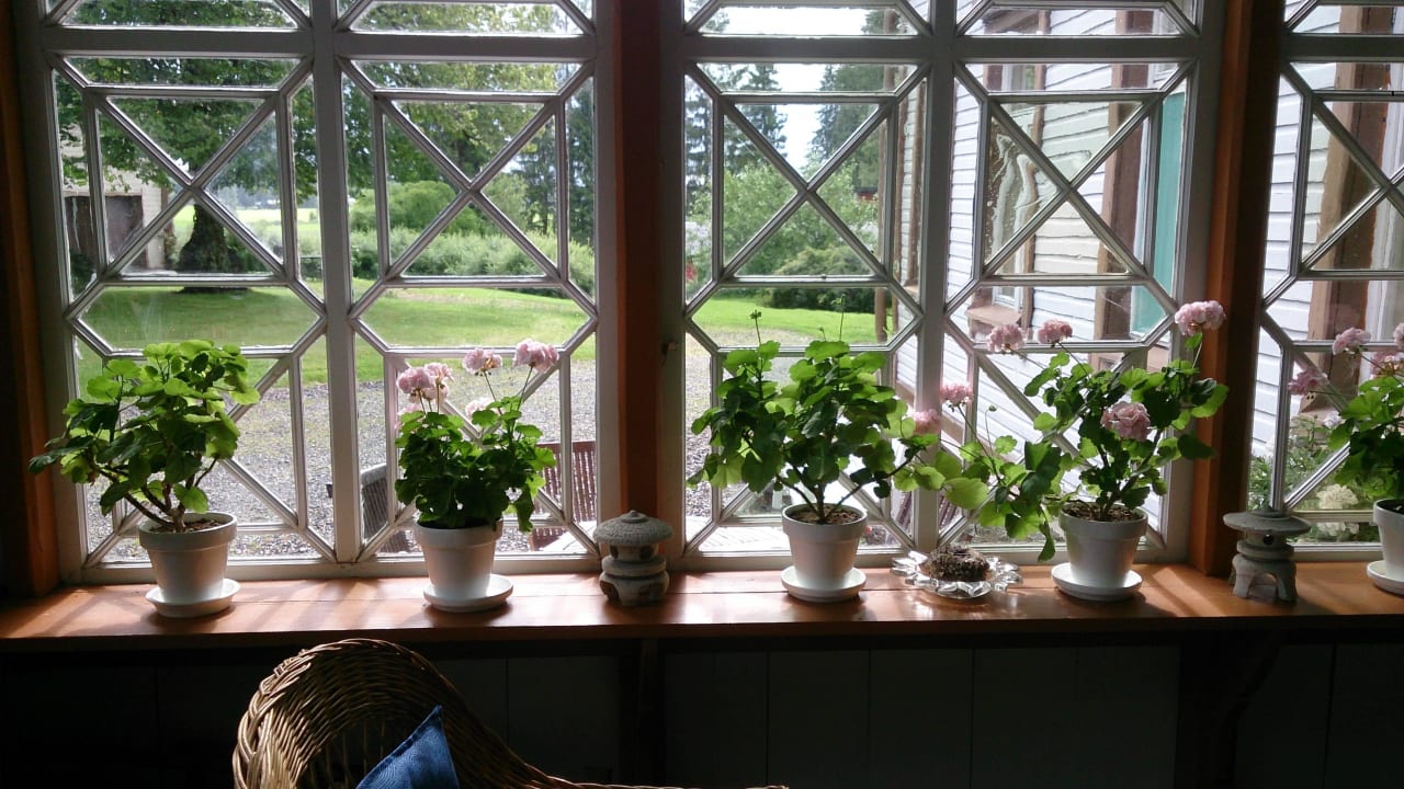 Blick auf den Garten Guesthouse Kivitatti