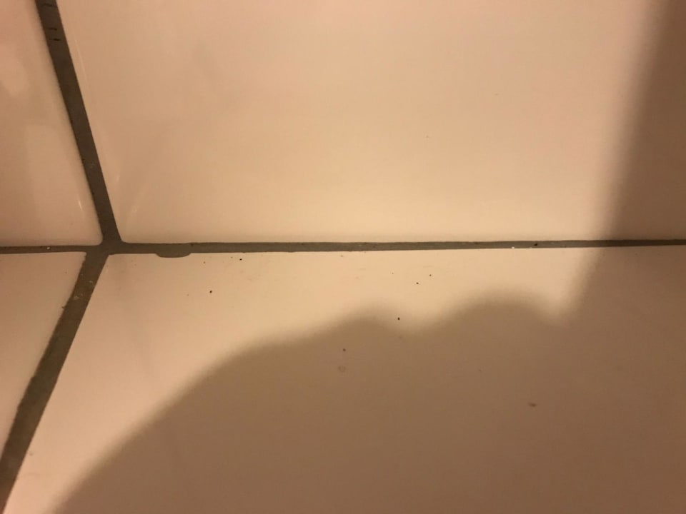 Zimmer Oz Hotels Incekum Beach